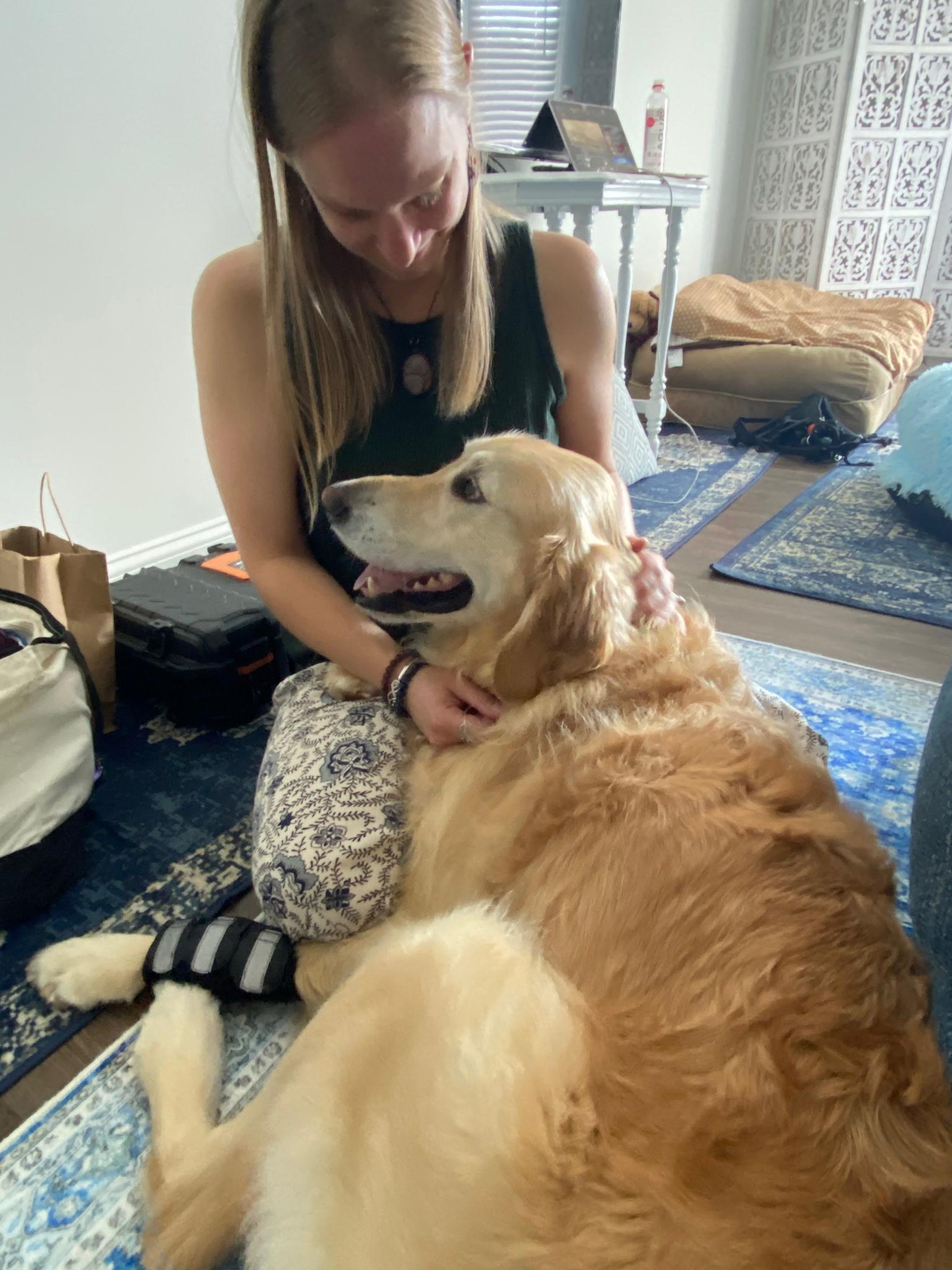 Practitioner caring for a golden retriever during treatment