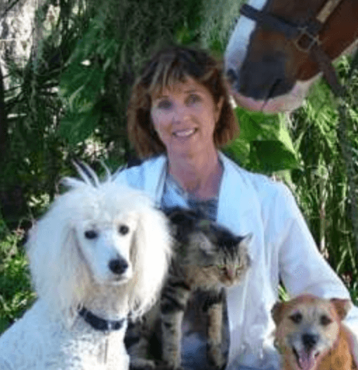 Dr. Marguerite (Maggie) Hernandez-Ron, DVM, PhD